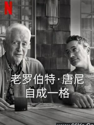 梦回青春